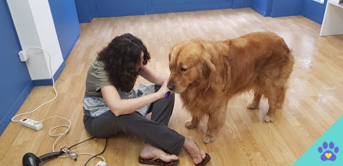 bennet peluqueria y autoservicio barcelona