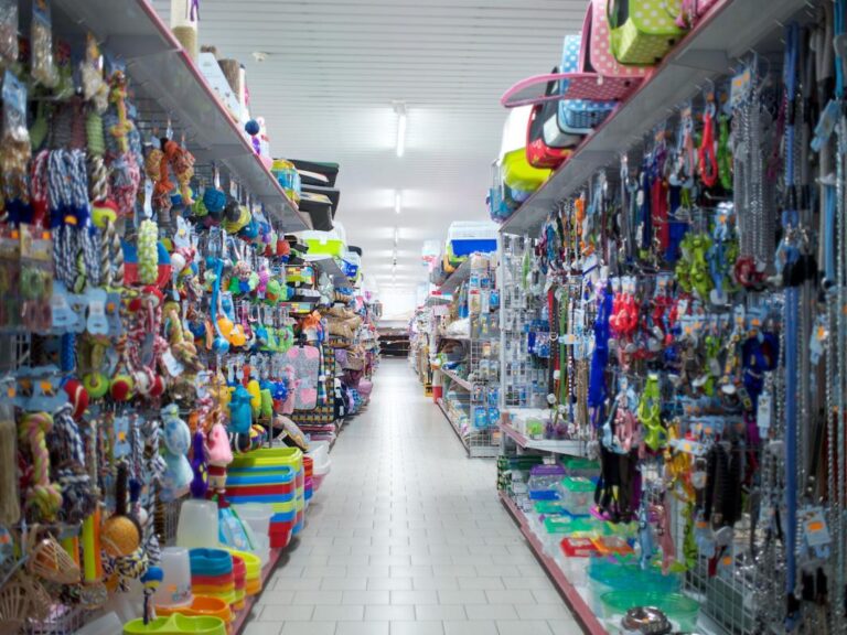 Equinoccioweb2 40 768x576